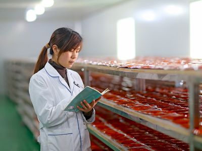 專業(yè)重慶火鍋底料制作團隊